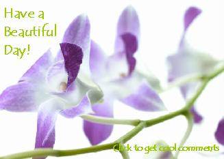 Another BeautifulDay image: (purpleflowers) for MySpace from ZingerBug