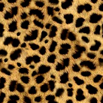 Animal Print Backgrounds and Codes for any Blog, web page, phone or desktop