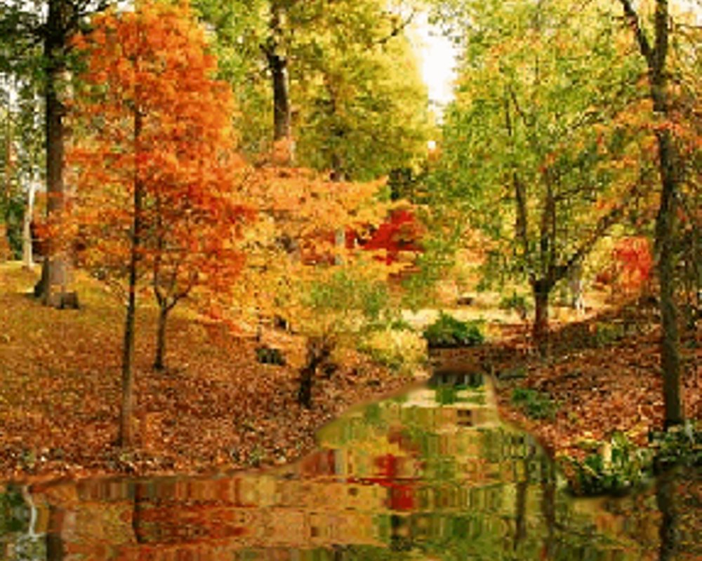 Click to get backgrounds, textures and wallpaper images of fall or autumn themes