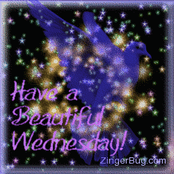 Have a Beautiful Wednesday Bird Glitter Graphic Glitter Graphic ...