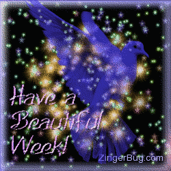 Have a Beautiful Week Bird Funky Stars Glitter Graphic, Greeting ...