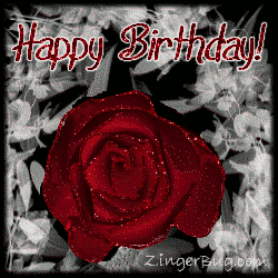 Download Birthday Message Red Rose Flowers Picture