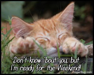 Sleepy Kitten Ready 4 Weekend Glitter Graphic, Greeting, Comment, Meme ...